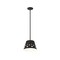 Z-Lite Katie 1 Light Chandelier, Matte Black 6014-12MB - alternate 4